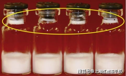 化妝品凍干機(jī) 凍干粉產(chǎn)品外觀質(zhì)量問題分析